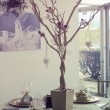 IMG_0176 IMG_0176
