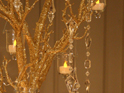 Gold Manzanita Tree